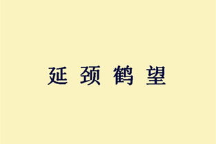 形容十分失望的成语