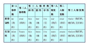 I you she he we they it 的宾格 所有格是什么?