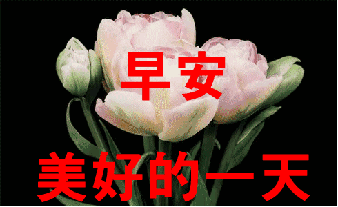 如何幽默的回复早上好