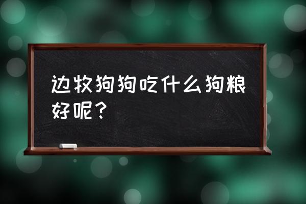 养边牧一般吃什么狗粮好 边牧狗狗吃什么狗粮好呢？