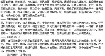 优美语段摘抄