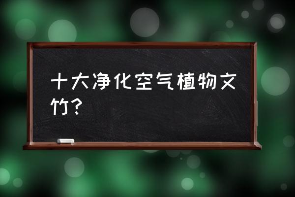 净化空气的室内植物都有什么 十大净化空气植物文竹？