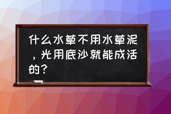 新手养水草都是哪几种 什么水草不用水草泥,光用底沙就能成活的? 新手养水草都是哪几种 什么水草不用水草泥,光用底沙就能成活的?