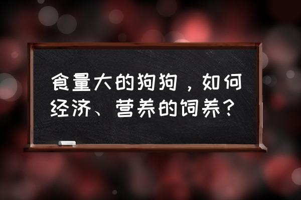 小狗需要怎么喂养 食量大的狗狗，如何经济、营养的饲养？