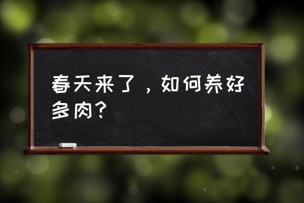 桃蛋要用什么肥料 春天来了，如何养好多肉？