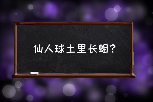 仙人球上的白虫子怎么处理掉 仙人球土里长蛆？