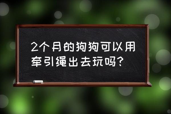哈士奇多大可以带牵引绳 2个月的狗狗可以用牵引绳出去玩吗? 哈士奇多大可以带牵引绳 2个月的狗狗可以用牵引绳出去玩吗?