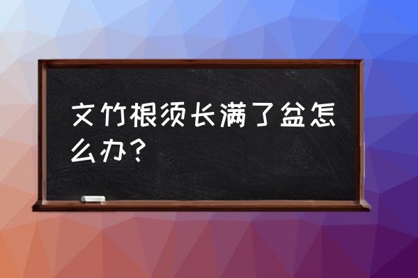 文竹不是怕烂根吗怎么还能水培 文竹根须长满了盆怎么办? 文竹不是怕烂根吗怎么还能水培 文竹根须长满了盆怎么办?