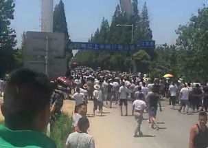 郯城邳州事件怎么处理的