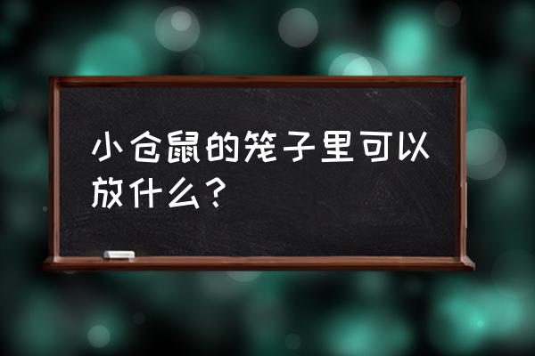 仓鼠秋千怎么装笼子上 小仓鼠的笼子里可以放什么？