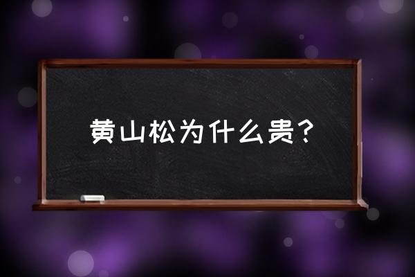 黄山松盆景可以室内养吗 黄山松为什么贵? 黄山松盆景可以室内养吗 黄山松为什么贵?