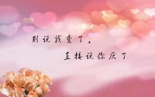 只想被宠被呵护的句子
