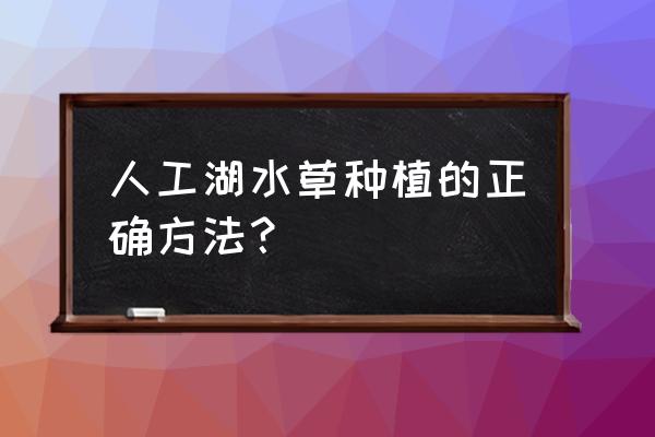 怎样种植水草有哪几个步骤 人工湖水草种植的正确方法? 怎样种植水草有哪几个步骤 人工湖水草种植的正确方法?