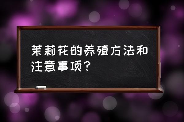 茉莉养殖方法与技巧 茉莉花的养殖方法和注意事项? 茉莉养殖方法与技巧 茉莉花的养殖方法和注意事项?