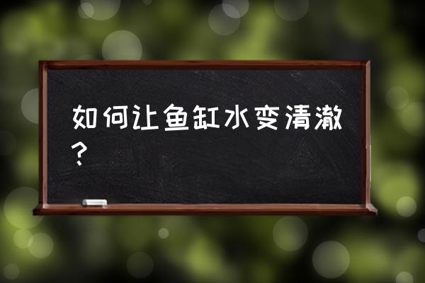 小型鱼缸怎样达到生态平衡 如何让鱼缸水变清澈？