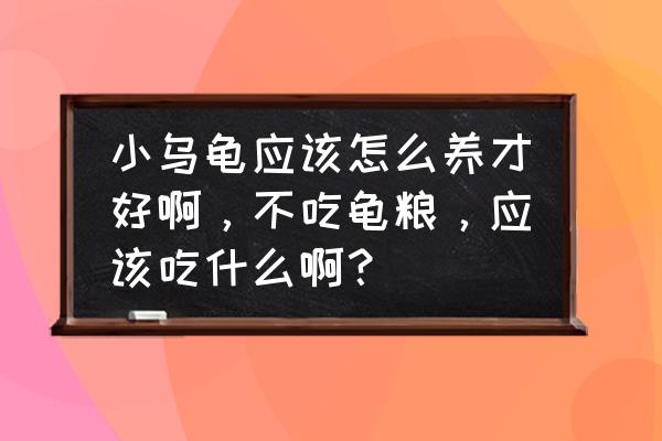 刚买的乌龟不吃龟粮怎么办 小乌龟应该怎么养才好啊，不吃龟粮，应该吃什么啊？