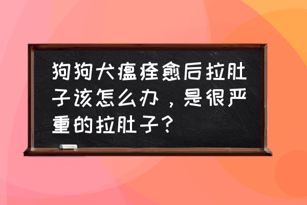 萨摩耶刚买回来拉稀正常吗 狗狗犬瘟痊愈后拉肚子该怎么办,是很严重的拉肚子? 萨摩耶刚买回来拉稀正常吗 狗狗犬瘟痊愈后拉肚子该怎么办,是很严重的拉肚子?