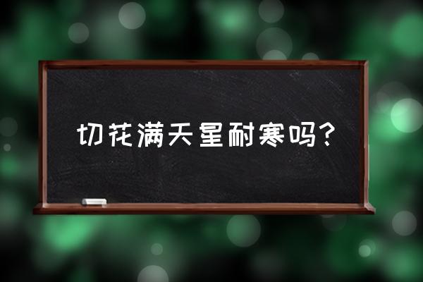 满天星冬天室内养殖方法 切花满天星耐寒吗？