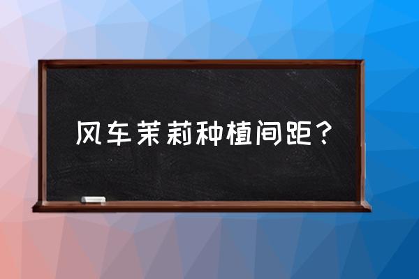 庭院里的风车茉莉不长叶子 风车茉莉种植间距？