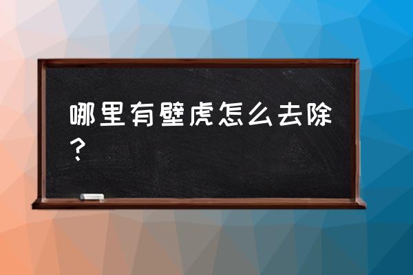 家里发现壁虎怎么解决 哪里有壁虎怎么去除? 家里发现壁虎怎么解决 哪里有壁虎怎么去除?