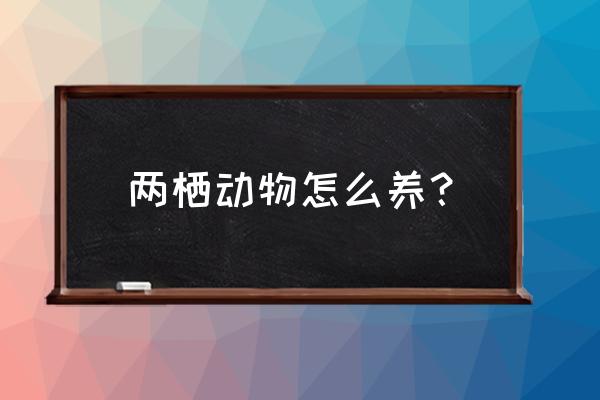 如何养蚱蜢当宠物 两栖动物怎么养？