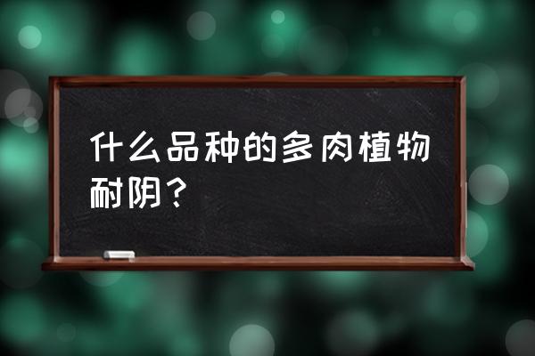 琴叶榕的茎杆太细怎么办 什么品种的多肉植物耐阴? 琴叶榕的茎杆太细怎么办 什么品种的多肉植物耐阴?