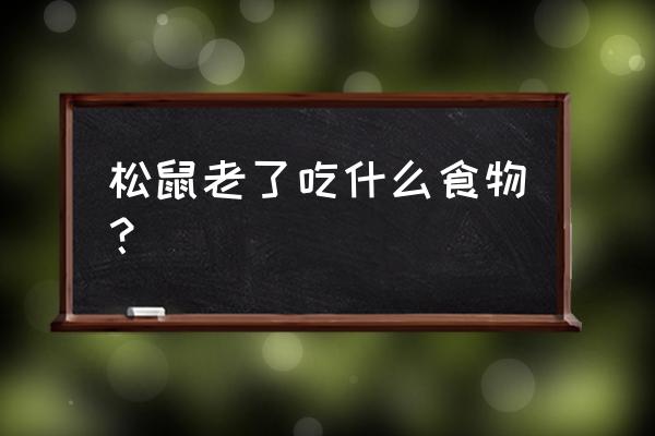 松鼠吃松子怎么画简单又可爱 松鼠老了吃什么食物？