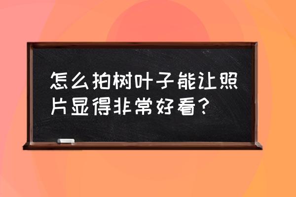 春天手工叶子粘贴画 怎么拍树叶子能让照片显得非常好看? 春天手工叶子粘贴画 怎么拍树叶子能让照片显得非常好看?