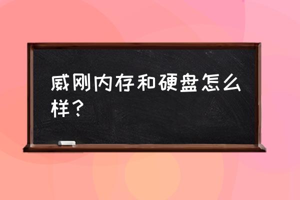 威刚移动硬盘是哪产的 威刚内存和硬盘怎么样? 威刚移动硬盘是哪产的 威刚内存和硬盘怎么样?
