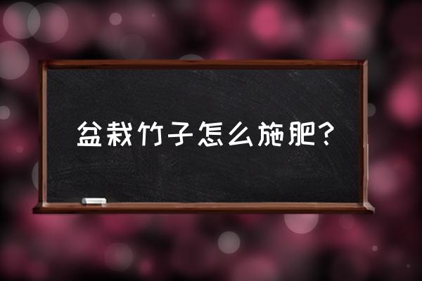 竹子怎么水养才旺盛 盆栽竹子怎么施肥？