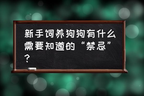 防腐木狗窝批发 新手饲养狗狗有什么需要知道的“禁忌”? 防腐木狗窝批发 新手饲养狗狗有什么需要知道的“禁忌”?