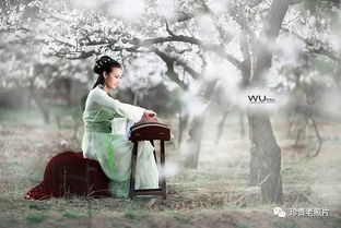 沁人心扉怎么解释