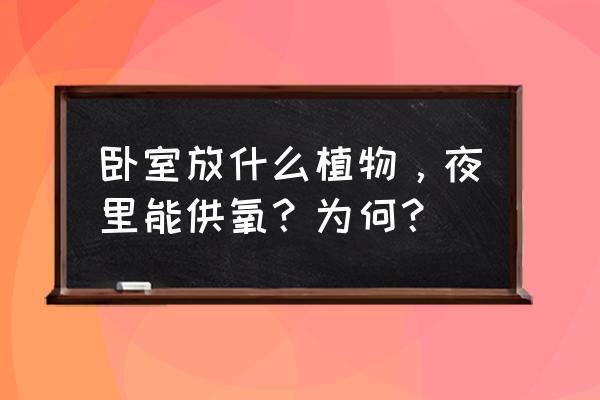孩子的卧室放什么植物 卧室放什么植物，夜里能供氧？为何？