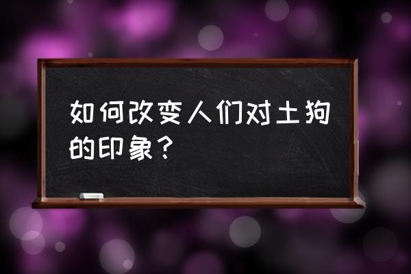 怎样防止土狗被盗 如何改变人们对土狗的印象？