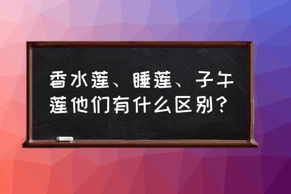 香水小叶莲花种植方法 香水莲、睡莲、子午莲他们有什么区别？