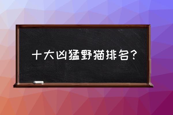 荒漠猫怎么来的 十大凶猛野猫排名？