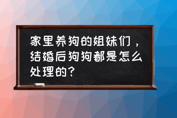qq宠物结婚详细流程 家里养狗的姐妹们，结婚后狗狗都是怎么处理的？