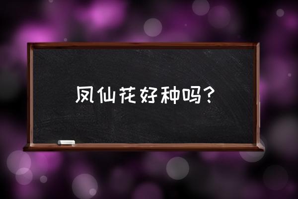 凤仙花怎么养才能长好 凤仙花好种吗？