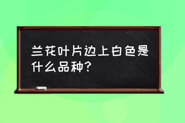 什么植物适合染白色 兰花叶片边上白色是什么品种? 什么植物适合染白色 兰花叶片边上白色是什么品种?