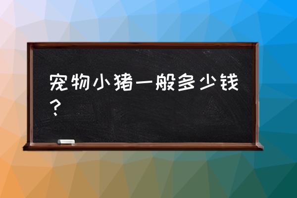 宠物猪多少钱一只狗养什么好 宠物小猪一般多少钱? 宠物猪多少钱一只狗养什么好 宠物小猪一般多少钱?