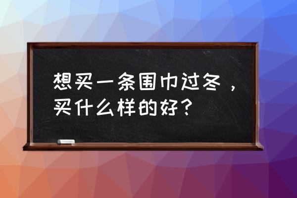 冬天怎么穿才好看一条围巾就够了 想买一条围巾过冬，买什么样的好？