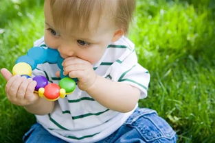 一岁半宝宝教育要点