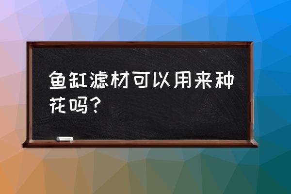 过滤水为什么好养花 鱼缸滤材可以用来种花吗? 过滤水为什么好养花 鱼缸滤材可以用来种花吗?