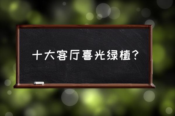 十大客厅风水植物 十大客厅喜光绿植? 十大客厅风水植物 十大客厅喜光绿植?