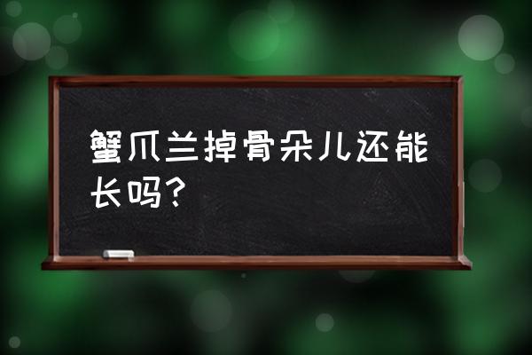蟹爪兰掉花苞后怎么才能重新生长 蟹爪兰掉骨朵儿还能长吗？