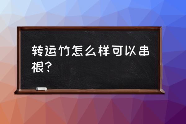 转运竹杆子发黄了怎么补救 转运竹怎么样可以串根？