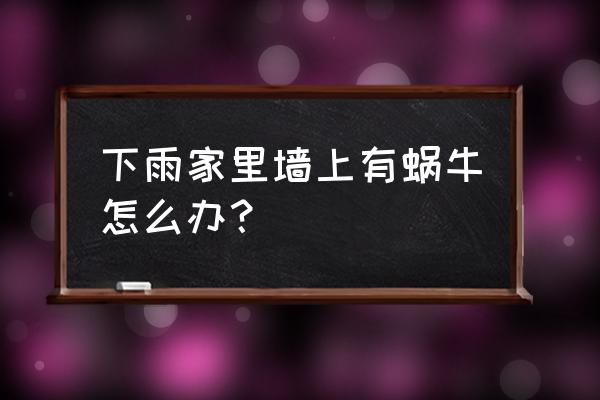 如何找到藏在家中的蜗牛 下雨家里墙上有蜗牛怎么办? 如何找到藏在家中的蜗牛 下雨家里墙上有蜗牛怎么办?