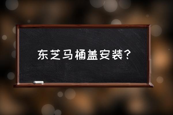 东芝智能马桶盖怎么安装 东芝马桶盖安装？