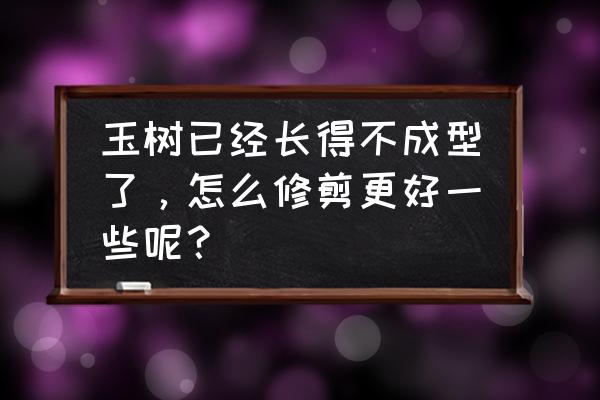 40公分的厚脸皮怎么修剪 玉树已经长得不成型了，怎么修剪更好一些呢？