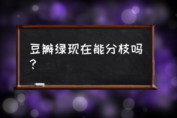 豆瓣绿变黑腐烂还有救吗 豆瓣绿现在能分枝吗？